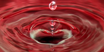 The ripple effect of a market correction in adtech