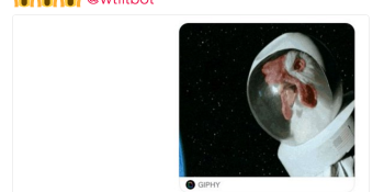 Space chickens and other strange pictures people have sent to WTF Is That bot