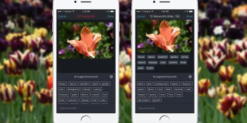 Shutterstock now suggests keywords for images that contributors upload on iOS