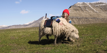 Google helps Faroe Islanders map their islands for Street View using sheep, kayaks, and more