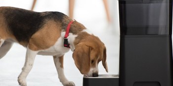 Petco leads $10 million investment in smart pet feeder maker Petnet