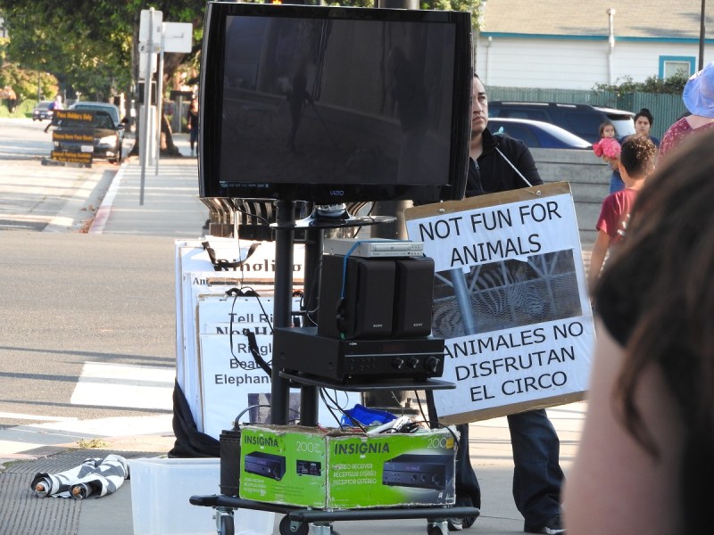 There were a handful of anti-animal cruelty protesters at the Ringling Bros. show in San Jose on August 26.