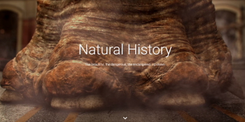 Google teams with dozens of natural history museums to bring long-gone worlds online