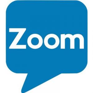 Zoom.ai bot