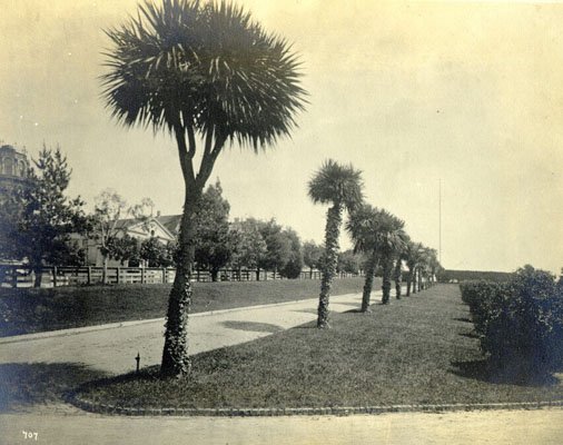 palm-avenue-in-jefferson-square-1881