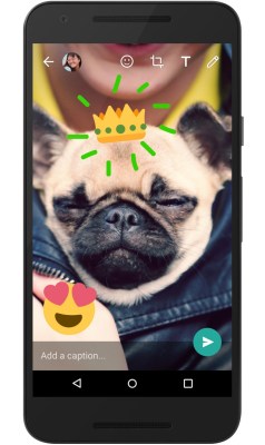 WhatsApp creative camera features