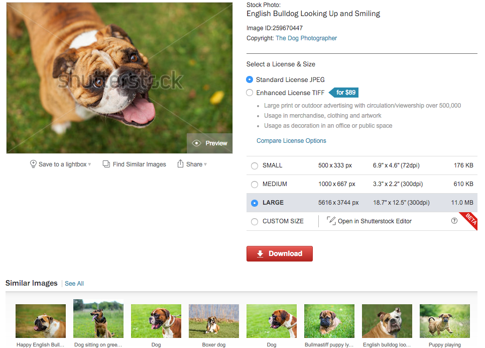 New Search: Visually similar