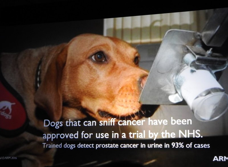 Dogs can sniff to see if your urine shows signs of prostate cancer.