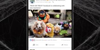 Facebook releases Halloween-themed reactions and live video Snapchat-like lenses