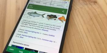 Microsoft’s latest experimental Android app lets you easily copy and share text onscreen