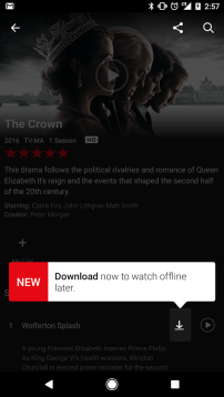 Netflix: Downloading