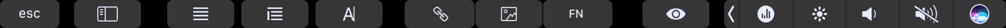 The Touch Bar display you see when you're in the editing window in Ulysses.