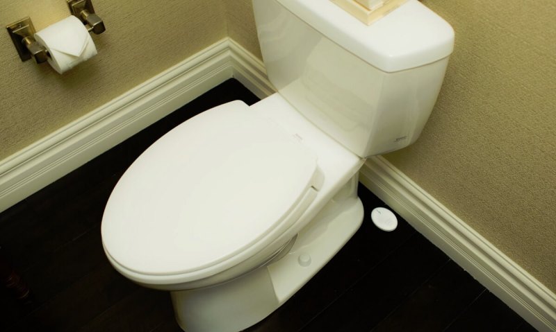 Roost can detect a leak around your toilet.