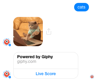 screenshot giphy