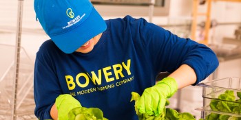 Bowery secures $20 million to grow indoor farming