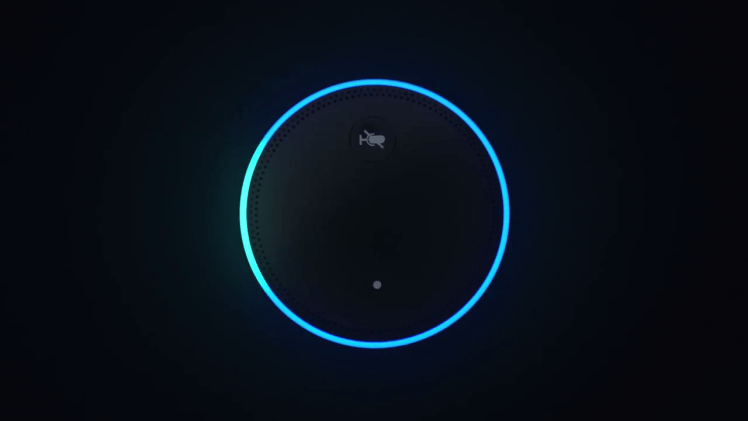 This is a picture of the top of an Amazon Echo