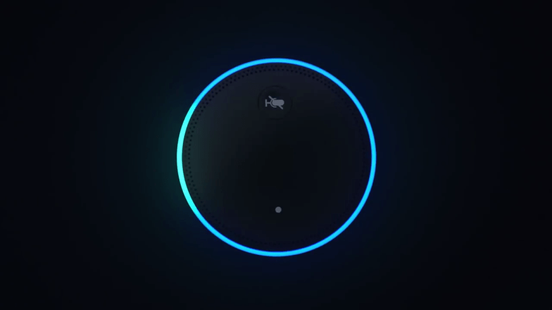 This is a picture of the top of an Amazon Echo