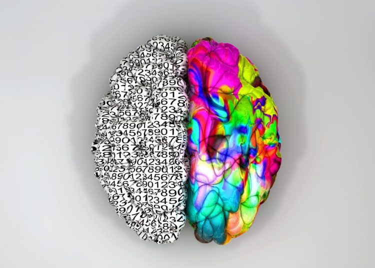 left brain right brain