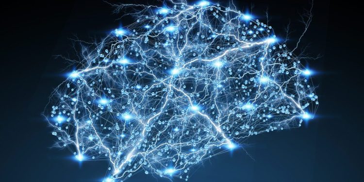 image of a brain made of neural networks