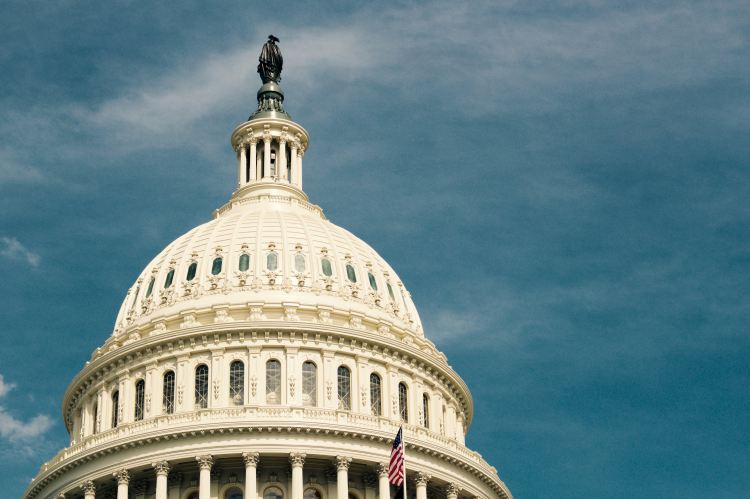 U.S. Capital Dome