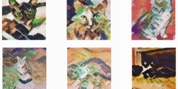 Researchers trick Watson AI into seeing cats as ‘crazy quilts’ and ‘cellophane’