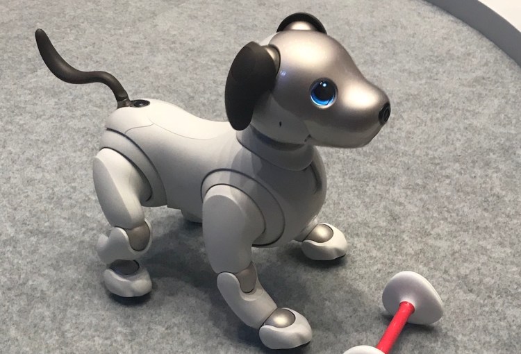 The new-and-improved Aibo. 