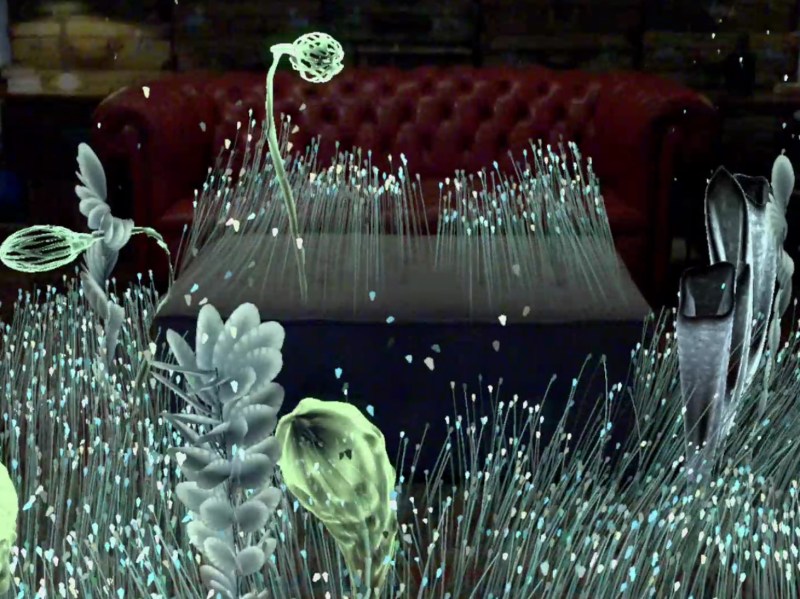 Image from Magic Leap's Tonandi app.