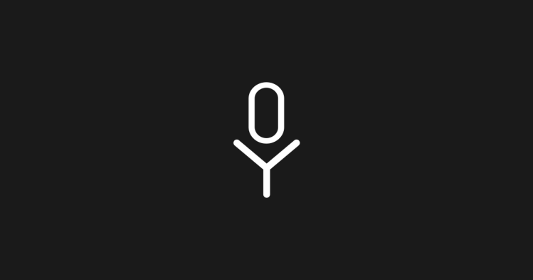 Voysis
