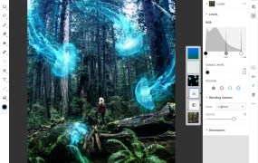Adobe Photoshop CC for iPad
