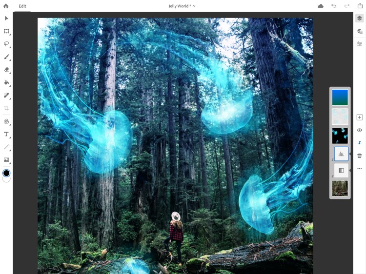 Adobe Photoshop CC for iPad