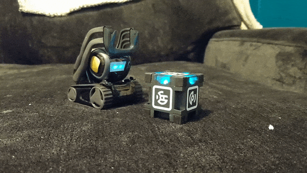 Anki Vector
