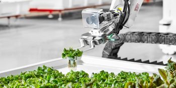 Iron Ox raises $20 million to grow robotic greenhouse operations