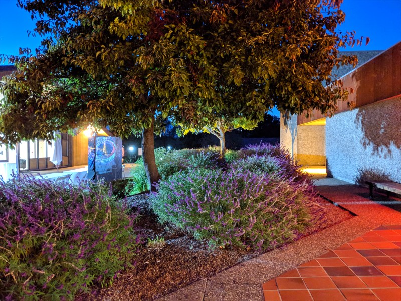 Google Night Sight