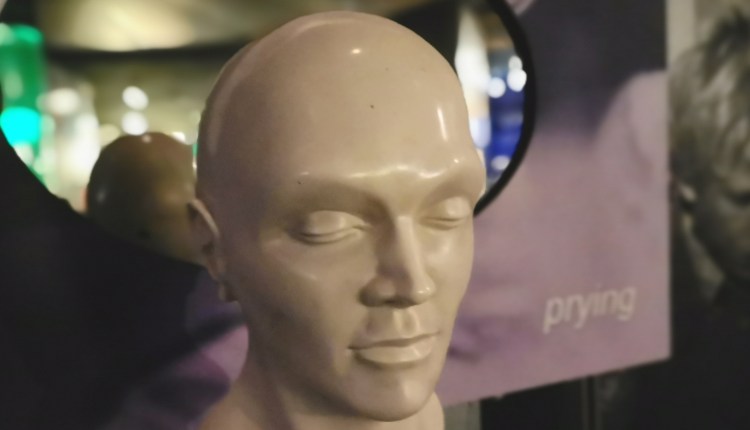 Face / Facial Recognition