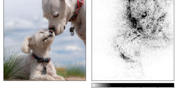 Facebook’s Captum brings explainability to machine learning