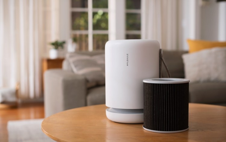 Molekule Air Mini costs $400.
