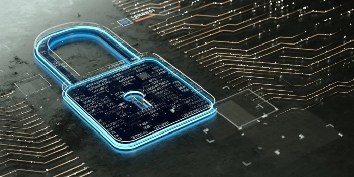 Computer security firmware