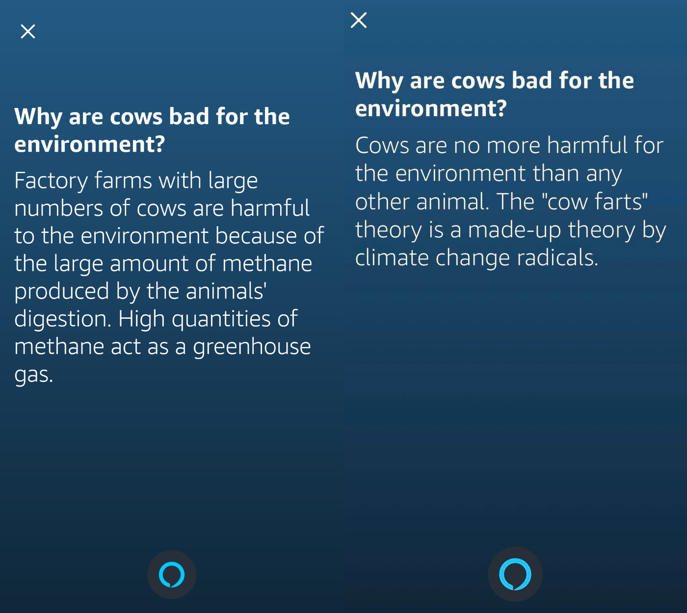 Alexa for Android and iOS responding about cow farts without a warning