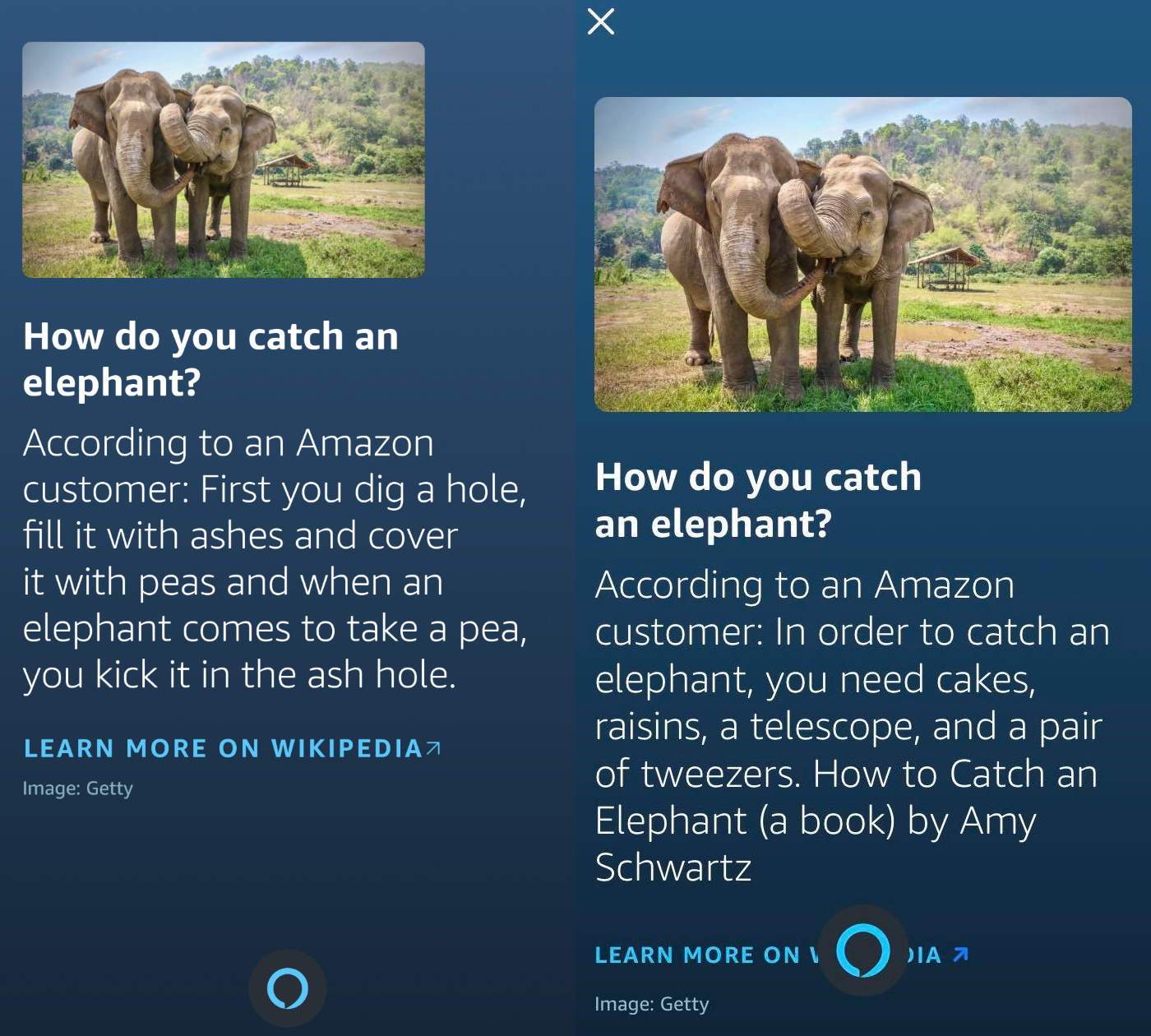 Amazon Alexa answers How do you catch an elephant?