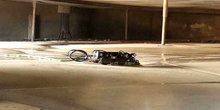 Toka 4 Gecko robot in action