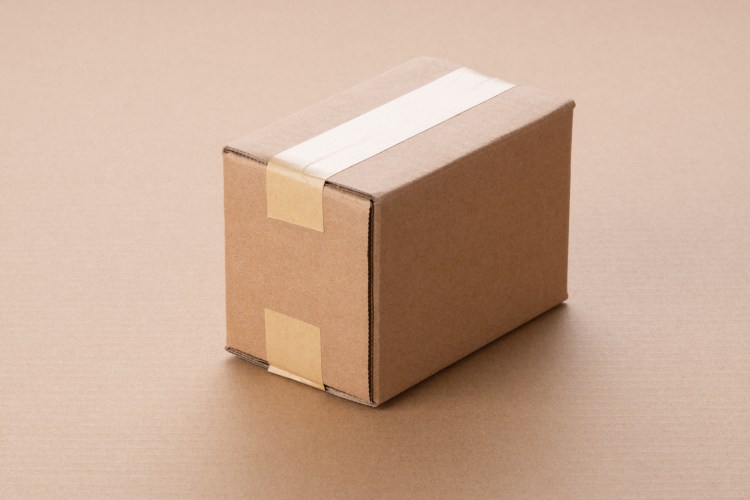 A single small brown package