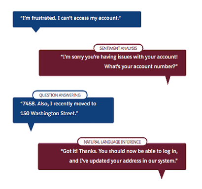 Salesforce named entity recognition