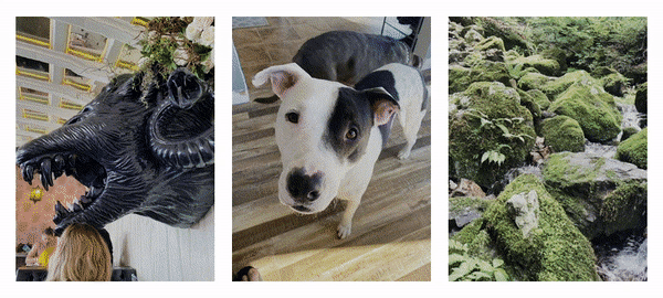 Facebook AI 3D Photos