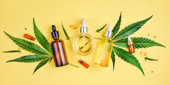 The 10 best CBD gummies to buy this year