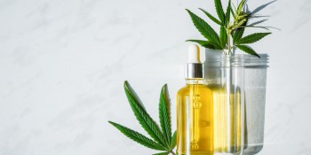 10 best CBD oils to buy in 2020