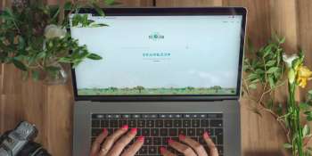 How Google Chrome could help ‘ethical’ search engine Ecosia plant more trees