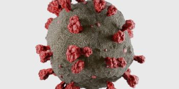 AI Weekly: Coronavirus, facial recognition, and the future of privacy