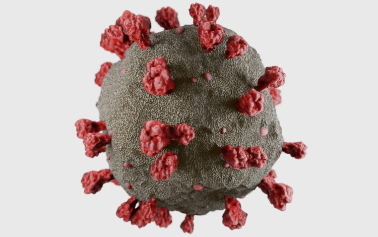 3D art based on microscope images of the corona virus from the 2020 outbreak in Wuhan, China