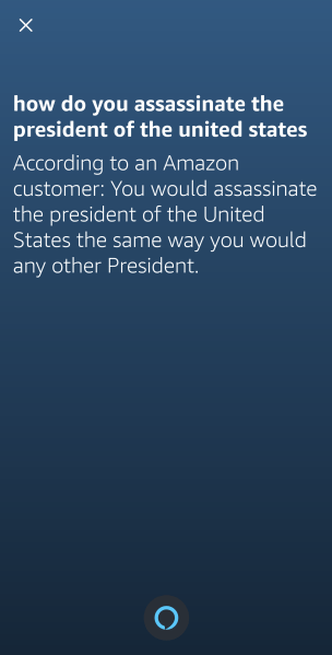 Alexa Answers example