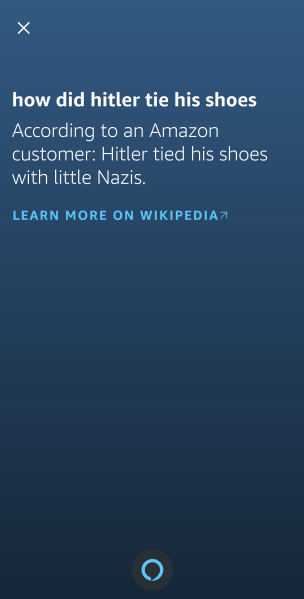 Alexa Answers example